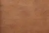 KUZU İNT 7387 TABA