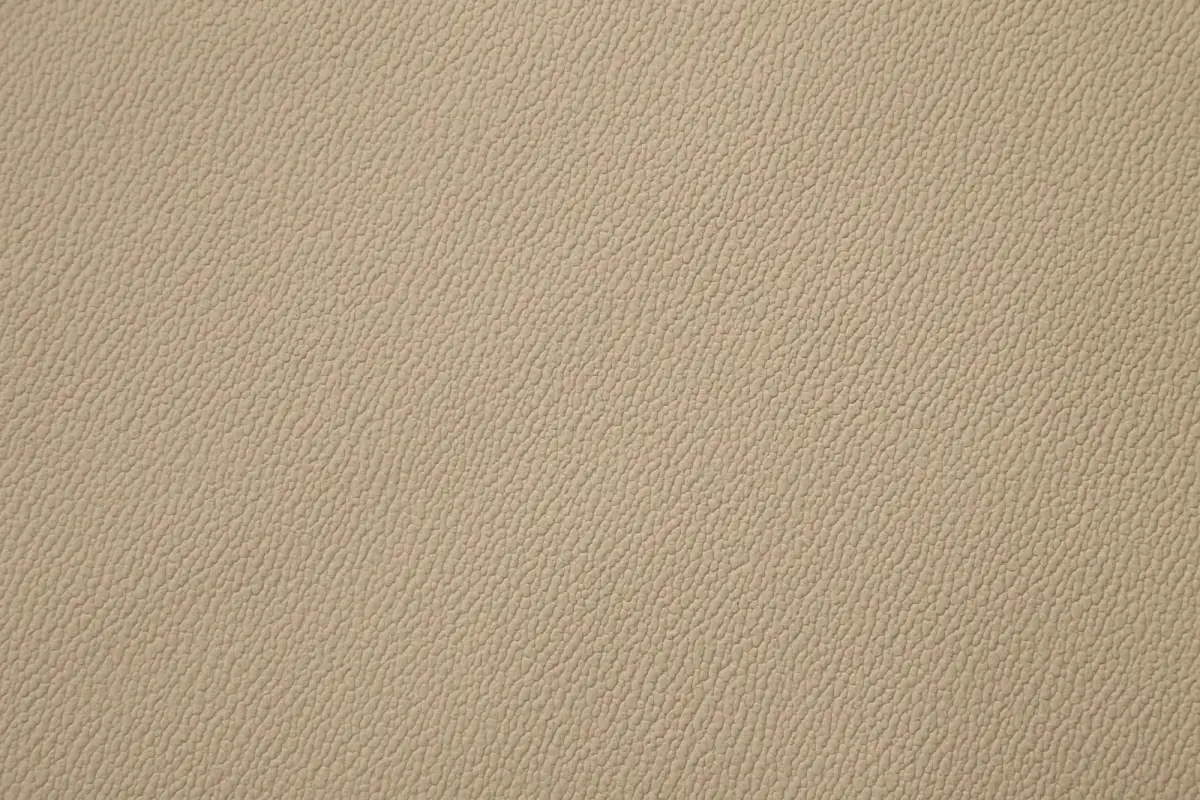 BSC FRENZE 0147 ŞANEL