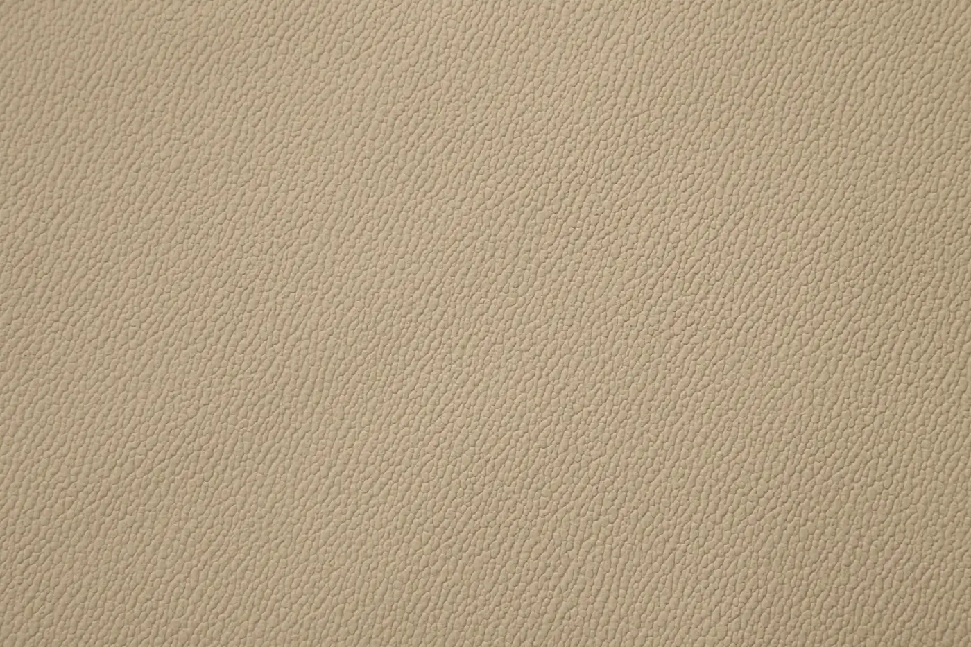 BSC FRENZE 0147 ŞANEL