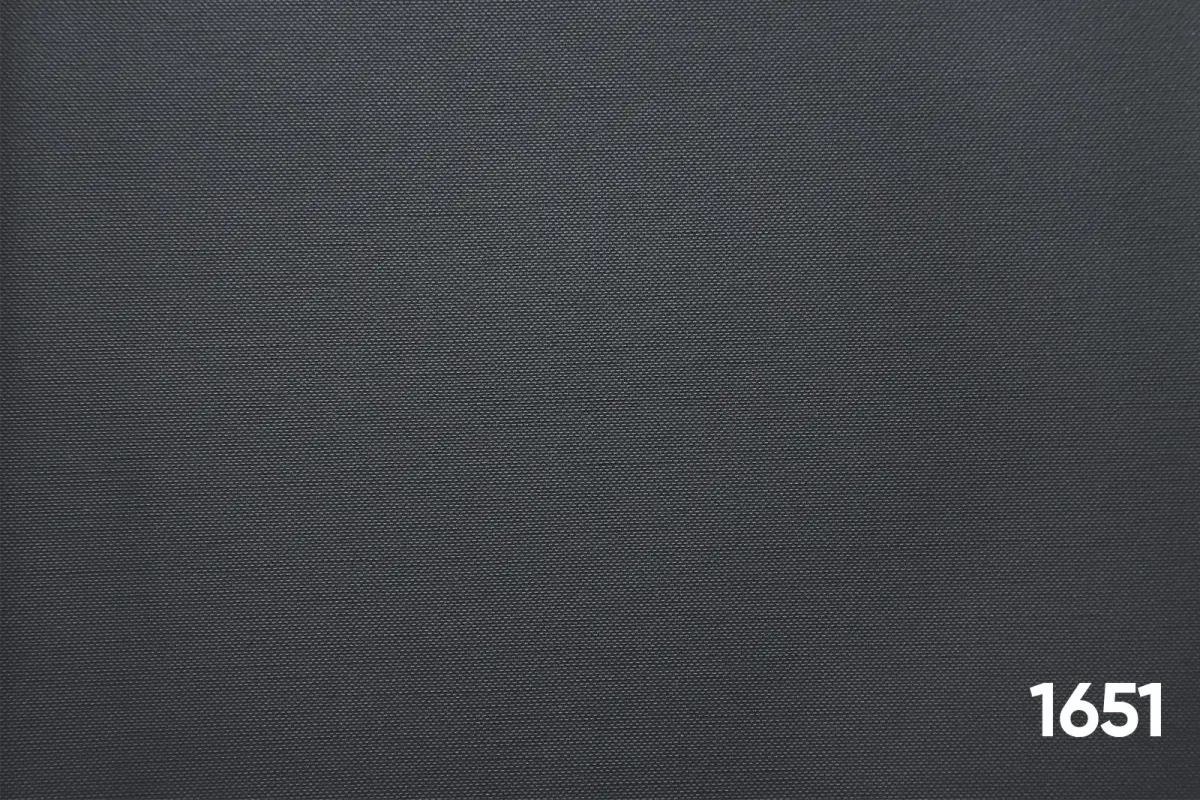 1651