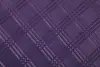 SPECTRA 1255 AUBERGINE