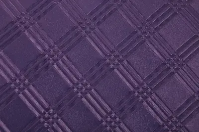 SPECTRA 1255 AUBERGINE