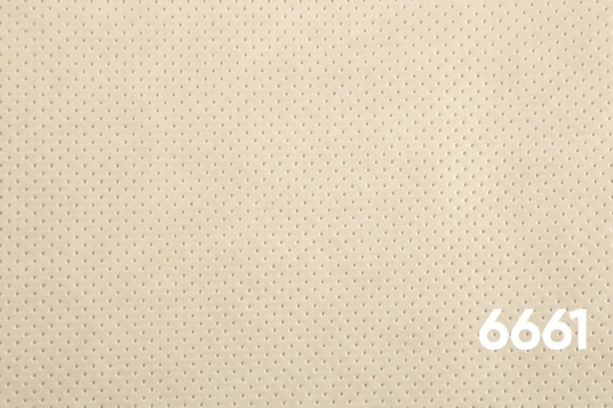 6661