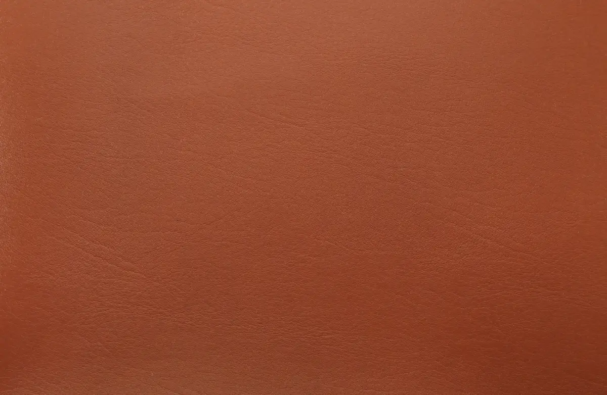 VENEDİK PULL-UP 0791 BORDO