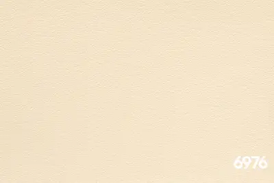 6976
