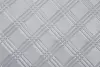 SPECTRA 1238 SILVER