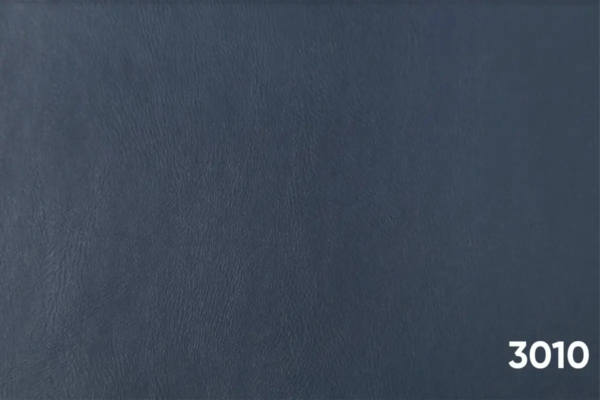 3010 LACİVERT