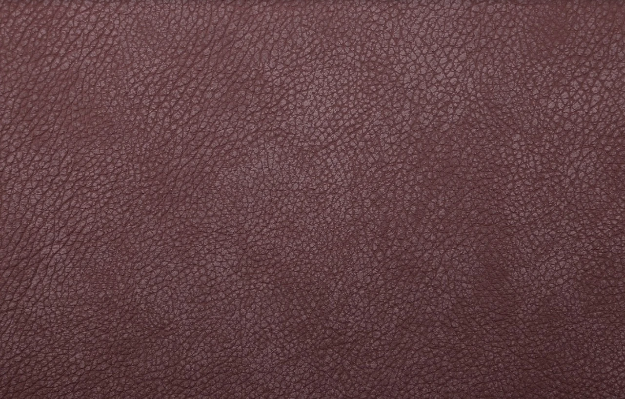 ARİZONA 6227 BORDO