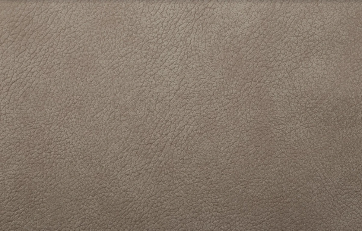 ARİZONA 6228 VİZON