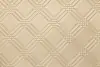 SPECTRA 1239 CHAMPAGNE