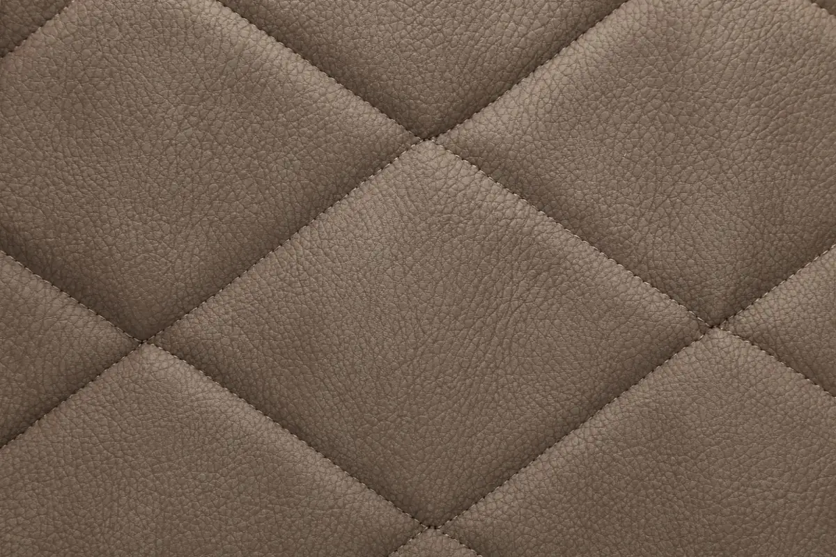 ARİZONA NAKIŞ VİZON 