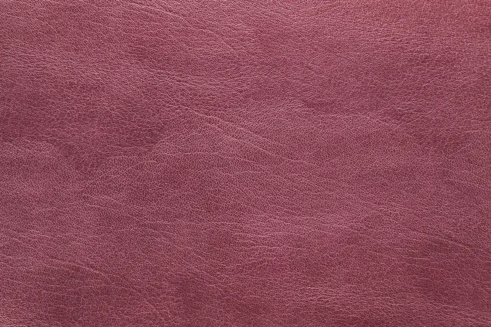 GALATA NW 6509 MET.BORDO