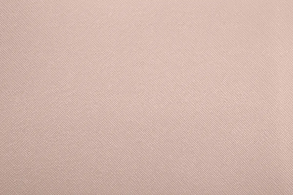 LİNEA NW 1341 M.PUDRA